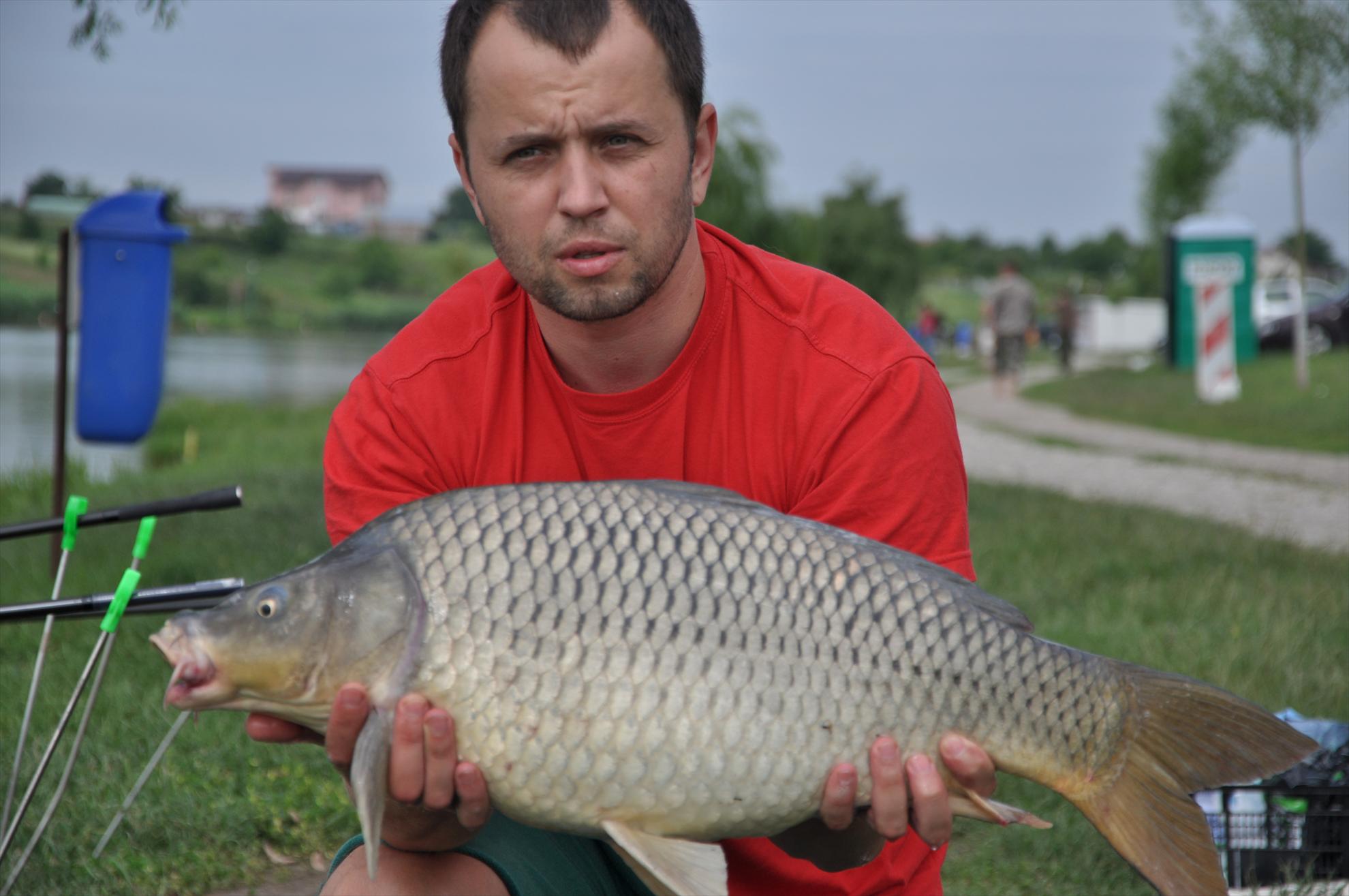 MV 2 - 09/06/2013 - dsc0014.JPG